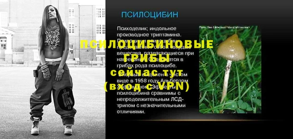 дурь Абдулино