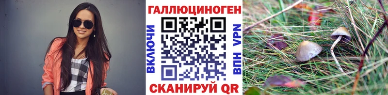 как найти закладки  Сухиничи  Псилоцибиновые грибы Magic Shrooms 